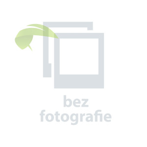 Brother HL-P2700