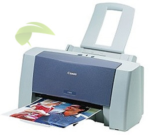 Canon S300